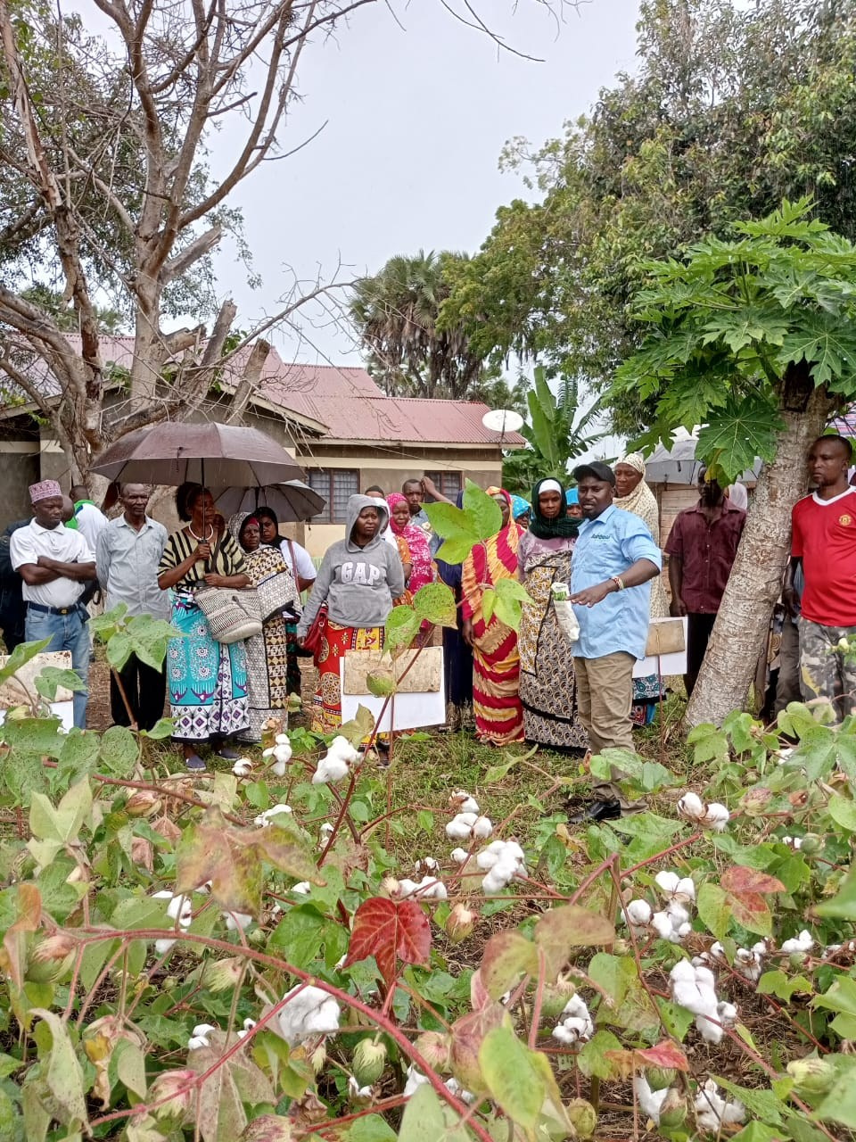 Grow Peat Organic Farming Training Crops and Sustainable Agriculture. Boost Plant Growth with Organic Fertilizers: Our Effective Solution