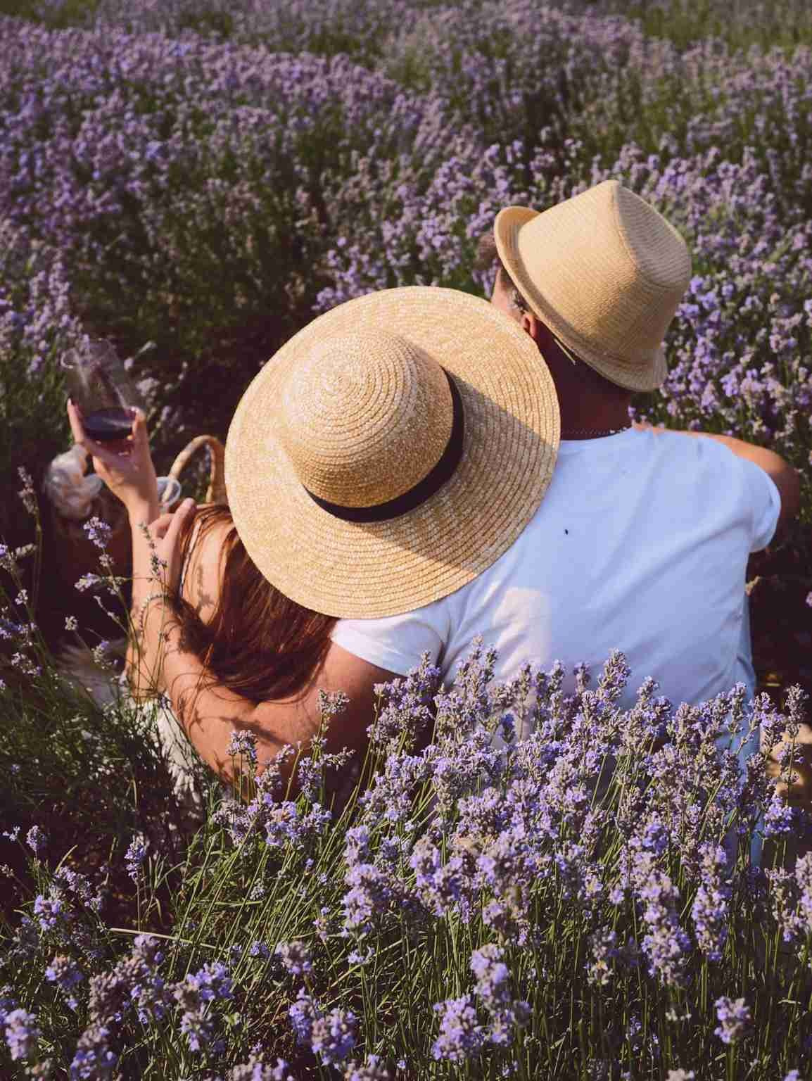 пара в соломенных шляпах со спины лавандовое поле