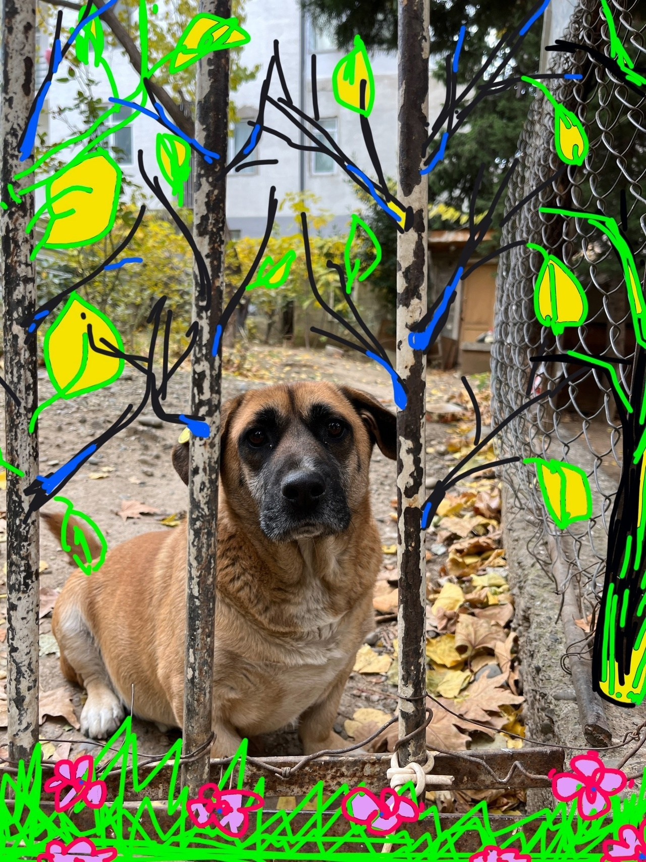 Курс креативного мышления «Не так, как всегда, не так, как у всех». Школа современного искусства Лени Сморагдовой