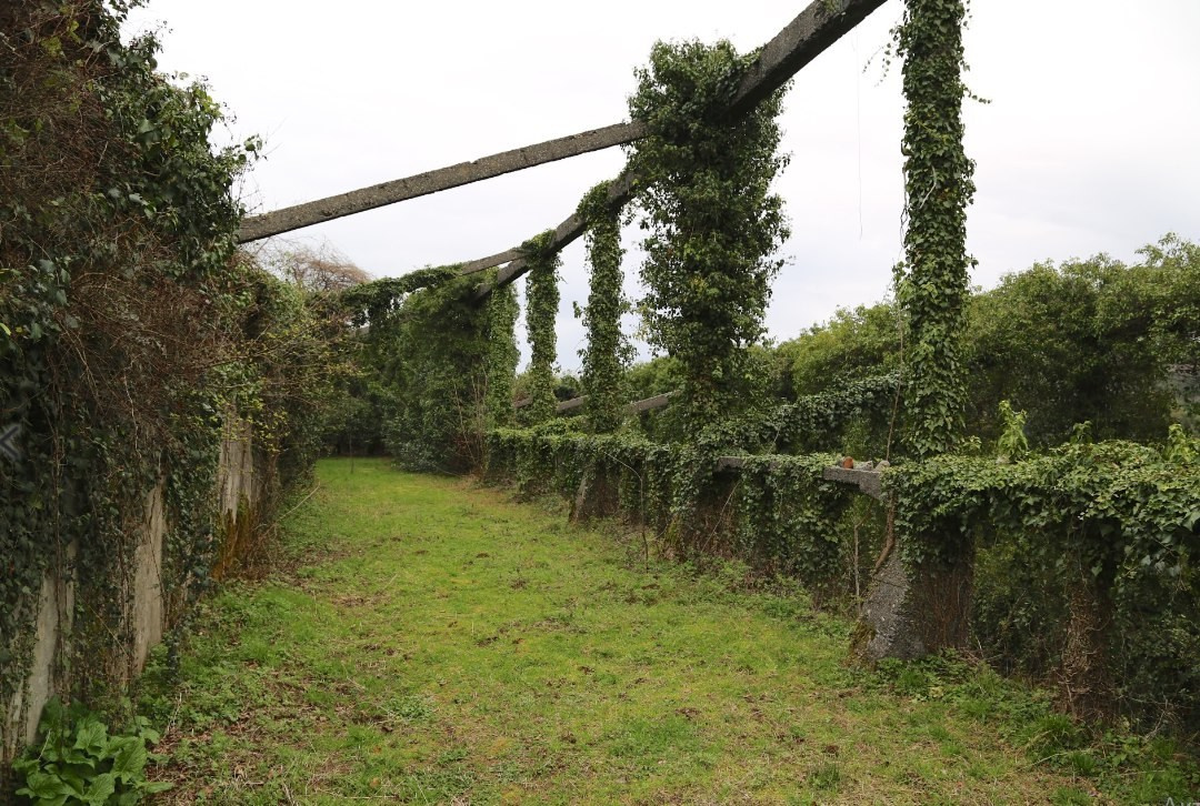 Romantic wedding ceremony in Batumi. Главная