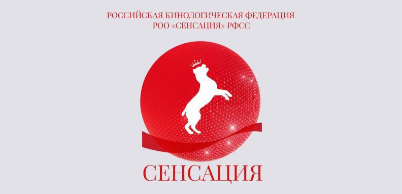16.09.2023 ВЫСТАВКА СОБАК ВСЕХ ПОРОД (CAC, ЧФ) «РУССКИЙ СТИЛЬ». Кинологический клуб РКФ РФСС СЕНСАЦИЯ