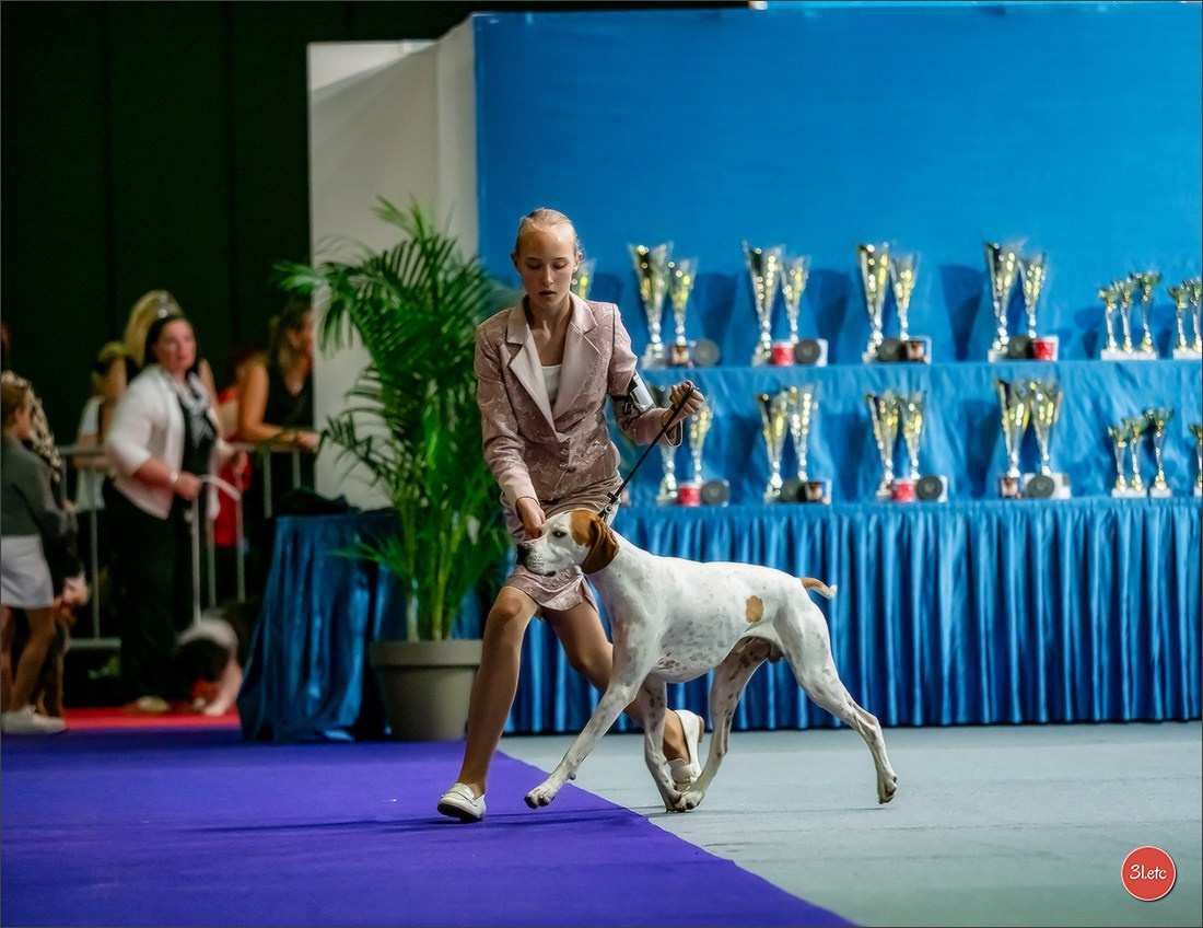 🇱🇺 LUXEMBOURG 🇱🇺 International Dog Show 🇱🇺 31/08 - 01/09/2024. Photographe à Strasbourg | Portraits, Studio, Enfants, Événements