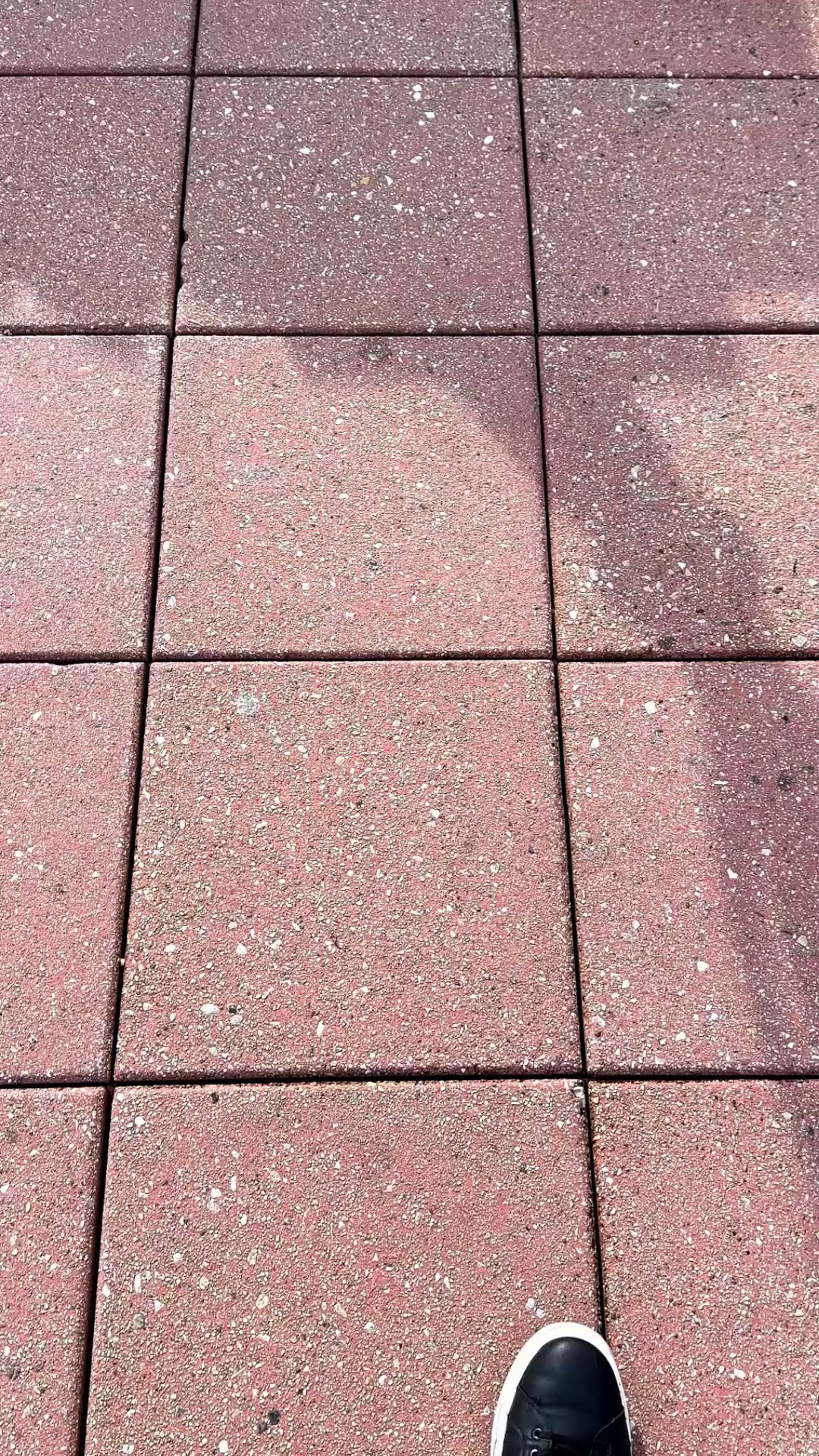 MOREL ОЧКИ. LUKIN IGOR Photography