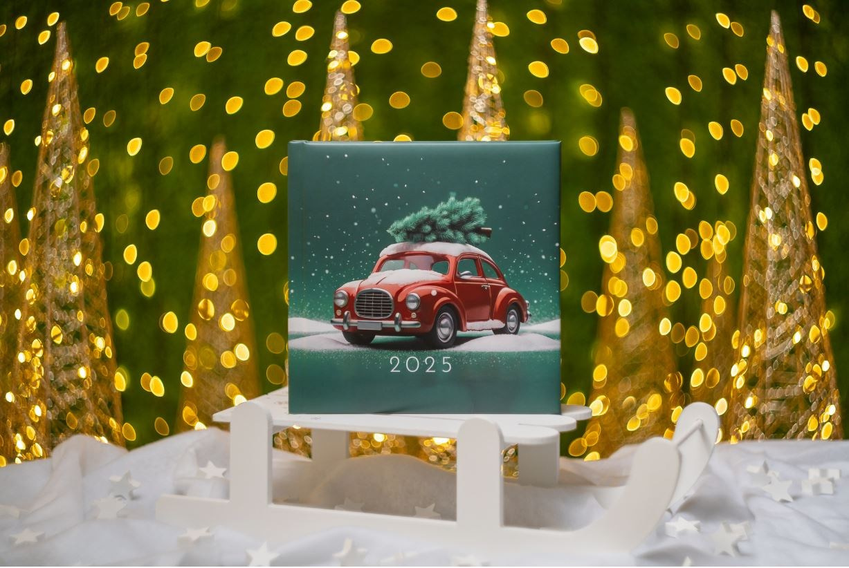 Preturi sedinte foto. Cuibul foto