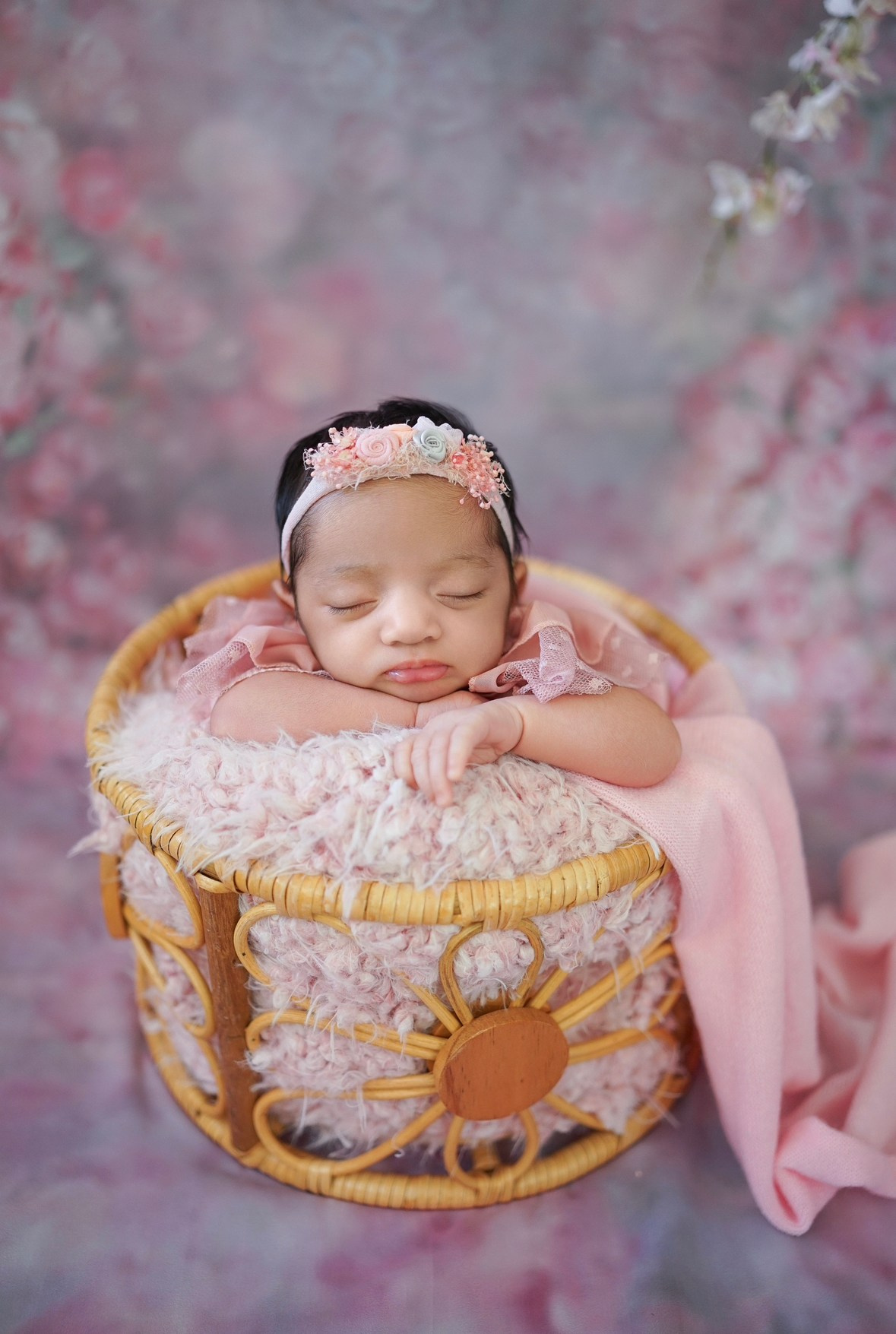 Posed Newborn. Maternity, family and newborn photography in San Francisco Bay Area