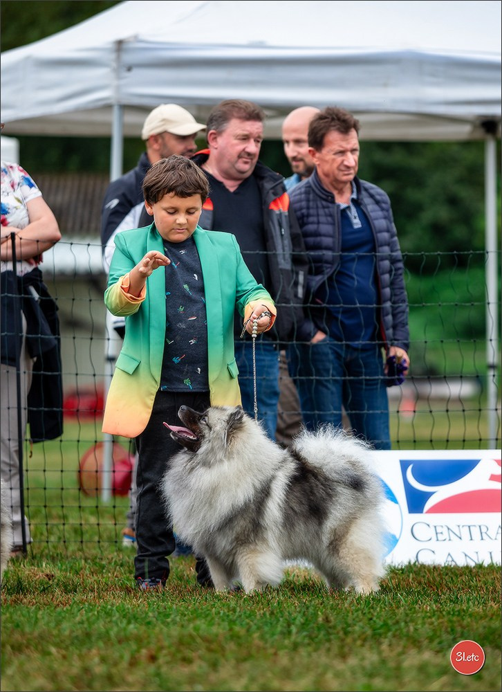 Exposition Canine à STRASBOURG-HOERDT Dimanche 18 août 2024. Photographe à Strasbourg | Portraits, Studio, Enfants, Événements