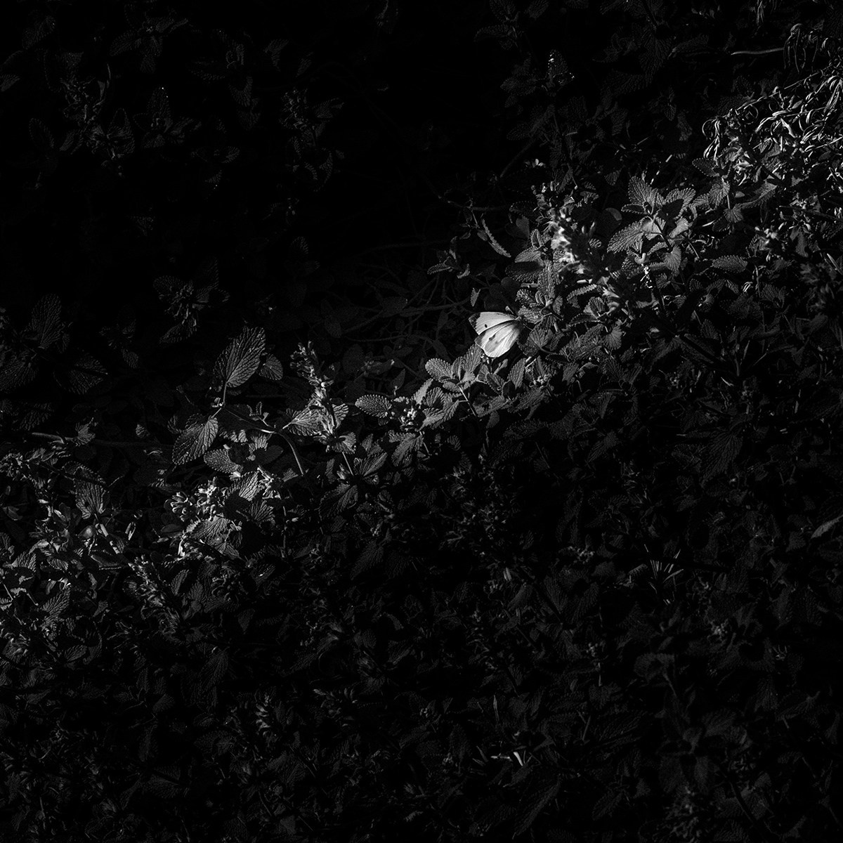 Project 12 Weeks Around the Hospital. Helen McLain Photography