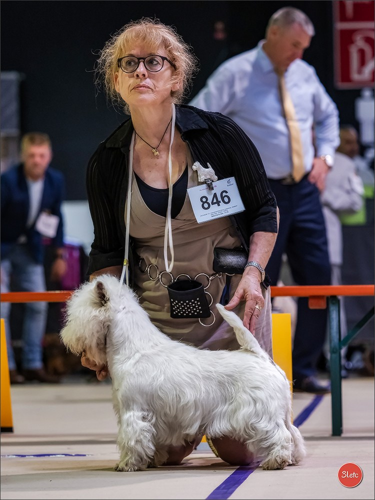🇱🇺 LUXEMBOURG 🇱🇺 International Dog Show 🇱🇺 31/08 - 01/09/2024. Photographe à Strasbourg | Portraits, Studio, Enfants, Événements