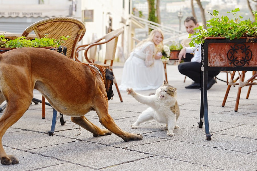 Bella Vita Weddings — Wedding Photography in Dubai & Destination