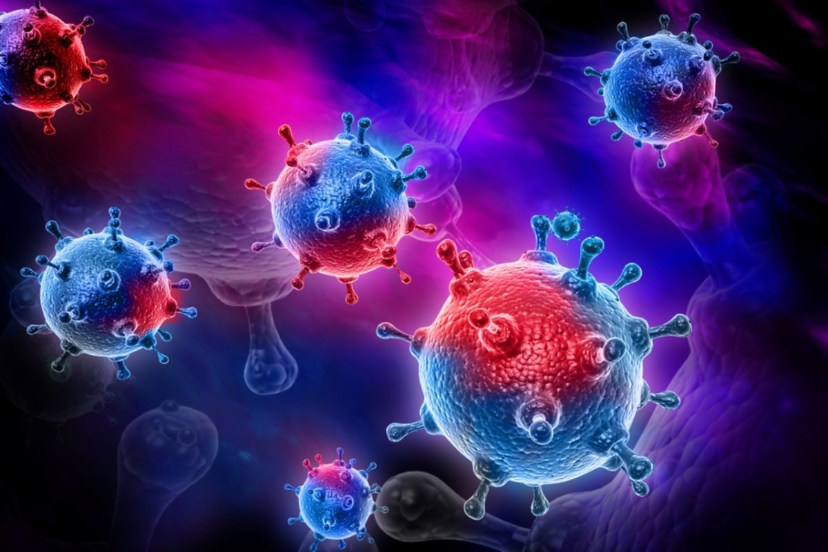 Coronavirus. Informations pour les voyageurs, Remboursement des billet. Milok et Kirok sont des gens positifs et réels. Nous serons ravis de v