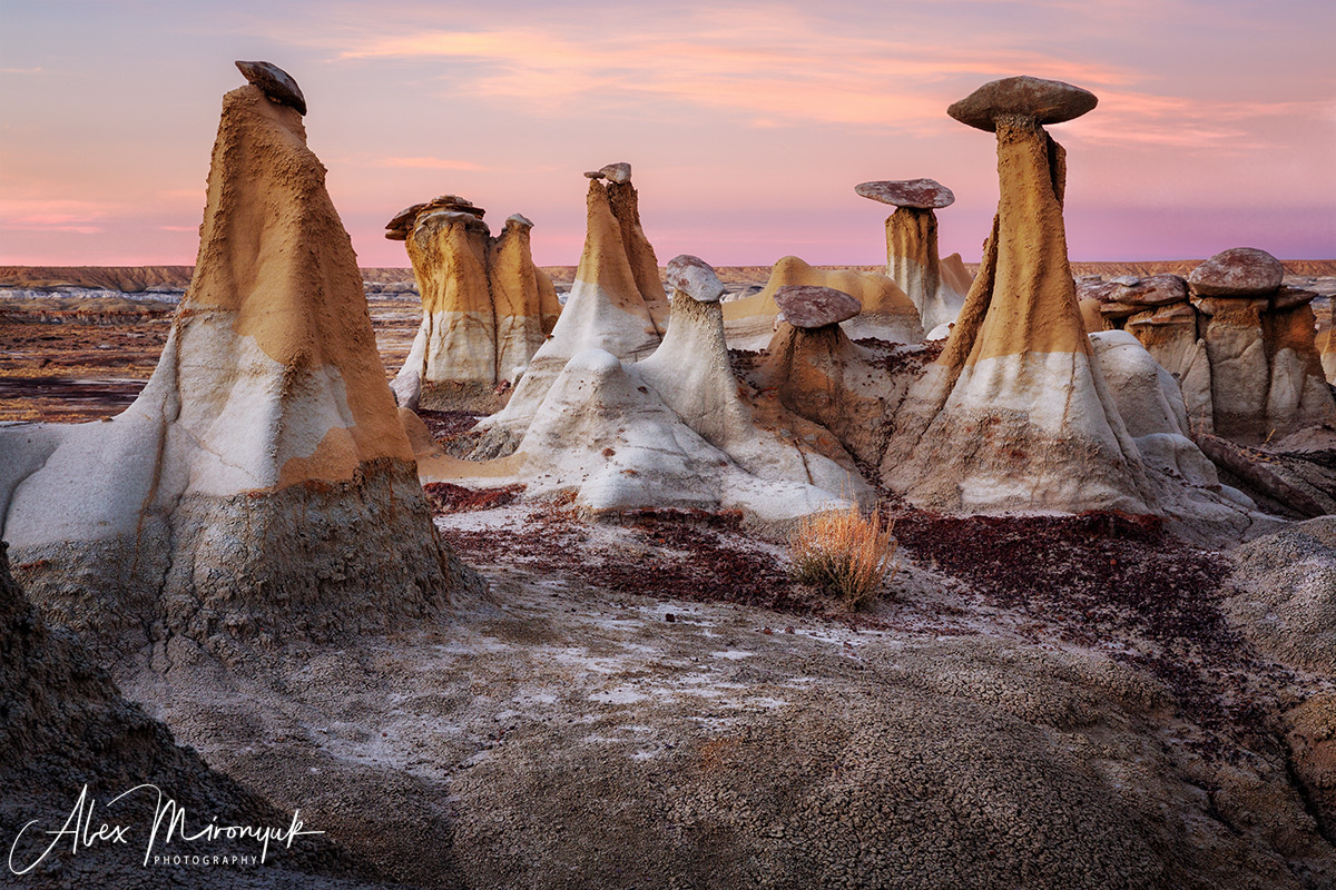 Badlands of New Mexico Unlimited. Pet, Senior, Landscape, portrait studio, photographer in Miami and Sou