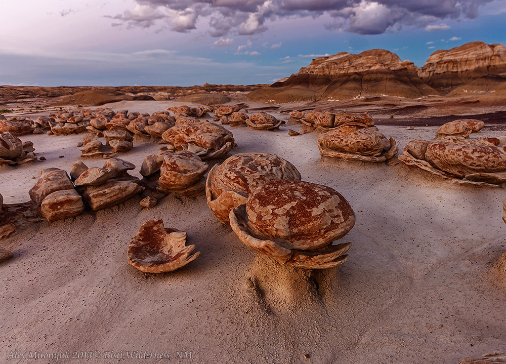 Badlands of New Mexico Unlimited. Pet, Senior, Landscape, portrait studio, photographer in Miami and Sou