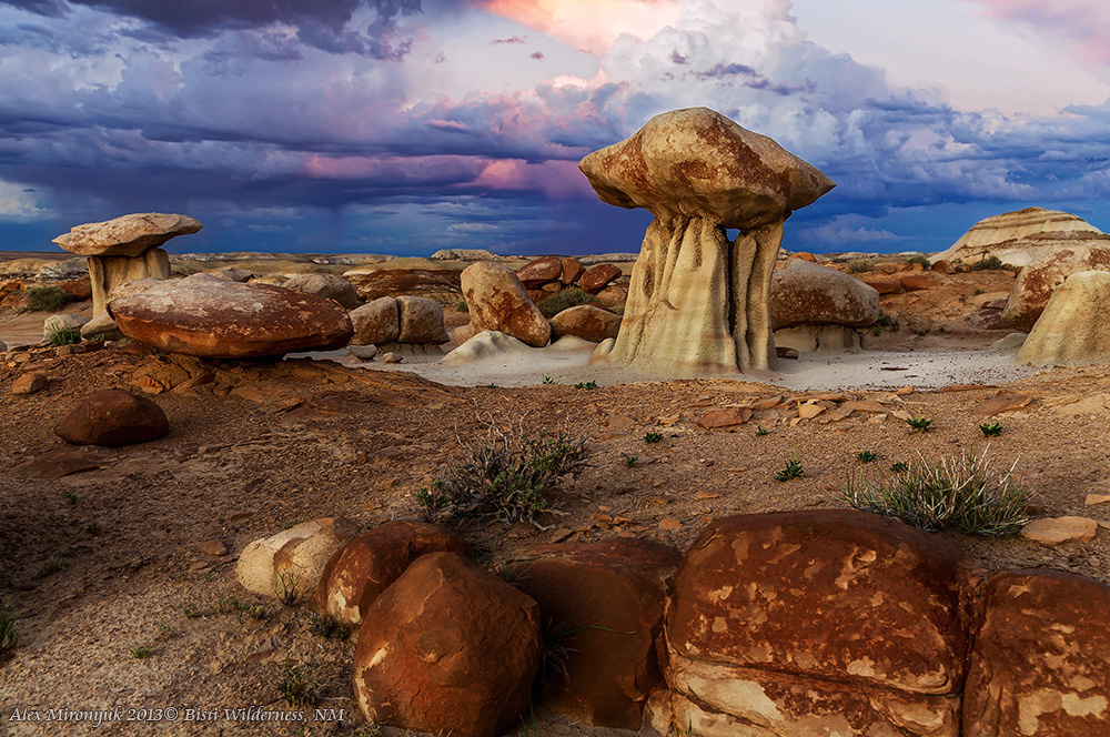 Badlands of New Mexico Unlimited. Pet, Senior, Landscape, portrait studio, photographer in Miami and Sou