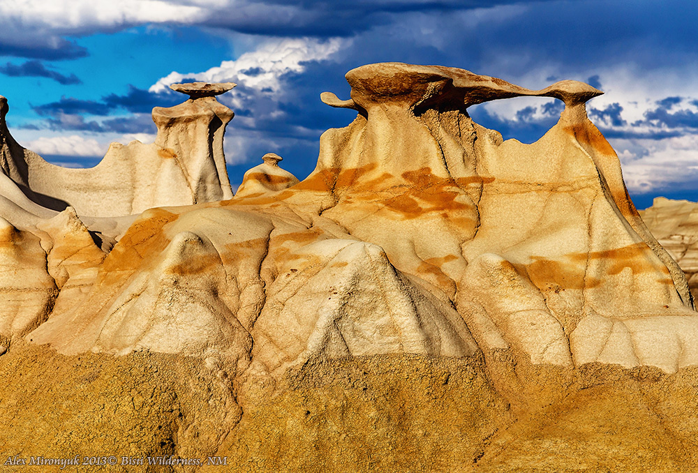 Badlands of New Mexico Unlimited. Pet, Senior, Landscape, portrait studio, photographer in Miami and Sou