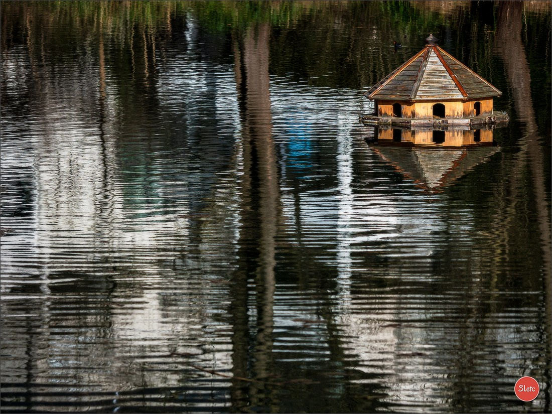 Se promener dans Strasbourg. Photographe à Strasbourg | Portraits, Studio, Enfants, Événements