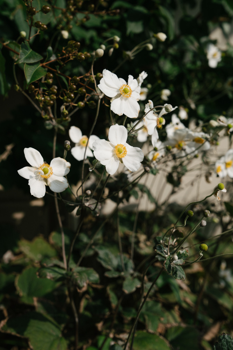 Hochzeitsfotograf über inspirierende Hochzeit am Comer See. Inna Zaytseva Photography | Fotografin in München | Content Creation