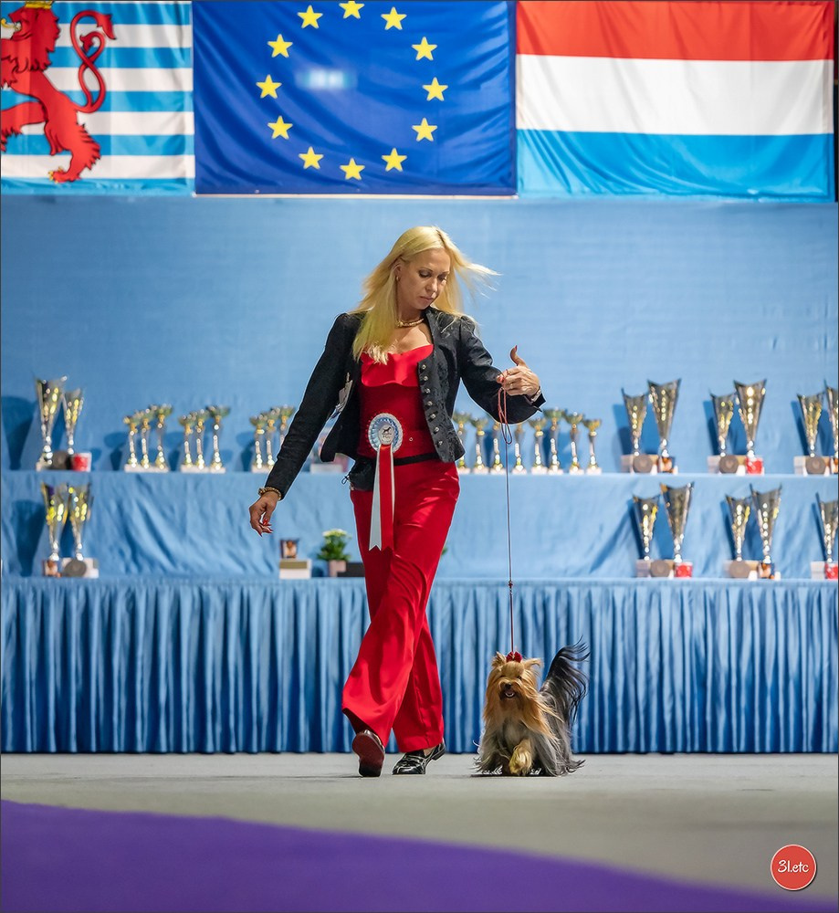 🇱🇺 LUXEMBOURG 🇱🇺 International Dog Show 🇱🇺 31/08 - 01/09/2024. Photographe à Strasbourg | Portraits, Studio, Enfants, Événements