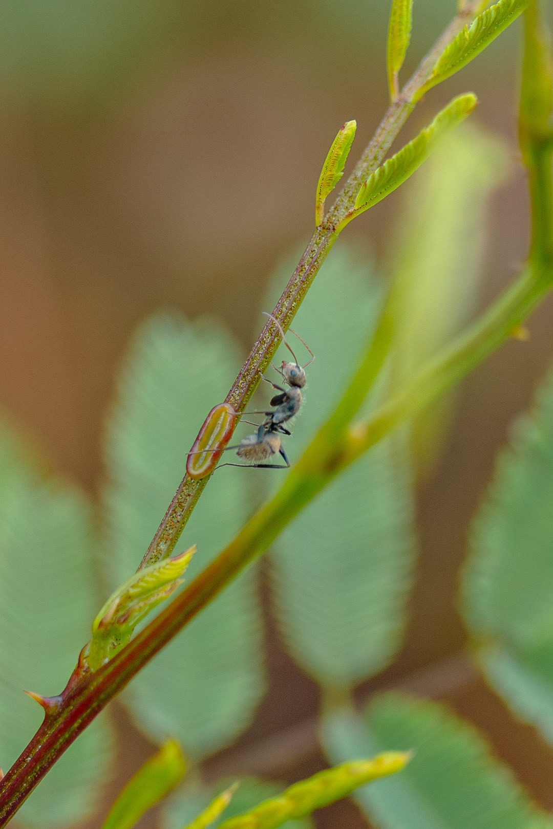 Edrd — Eduardo Med | Fotografia