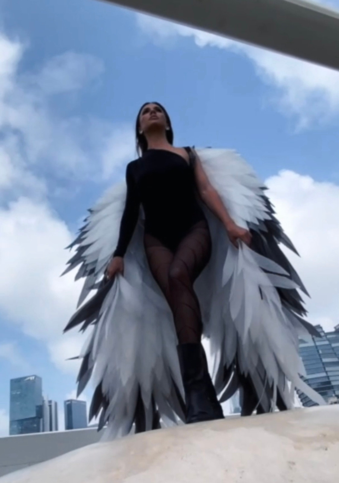 Wings. Ellstudio film production