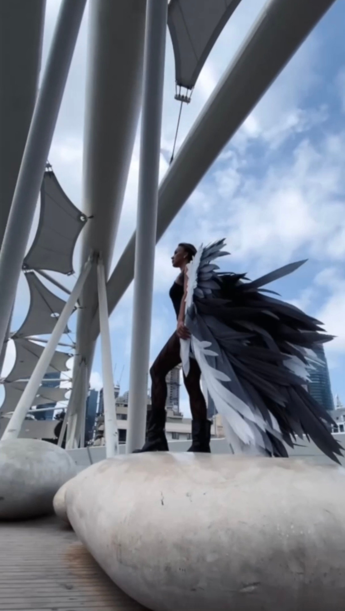 Wings. Ellstudio film production