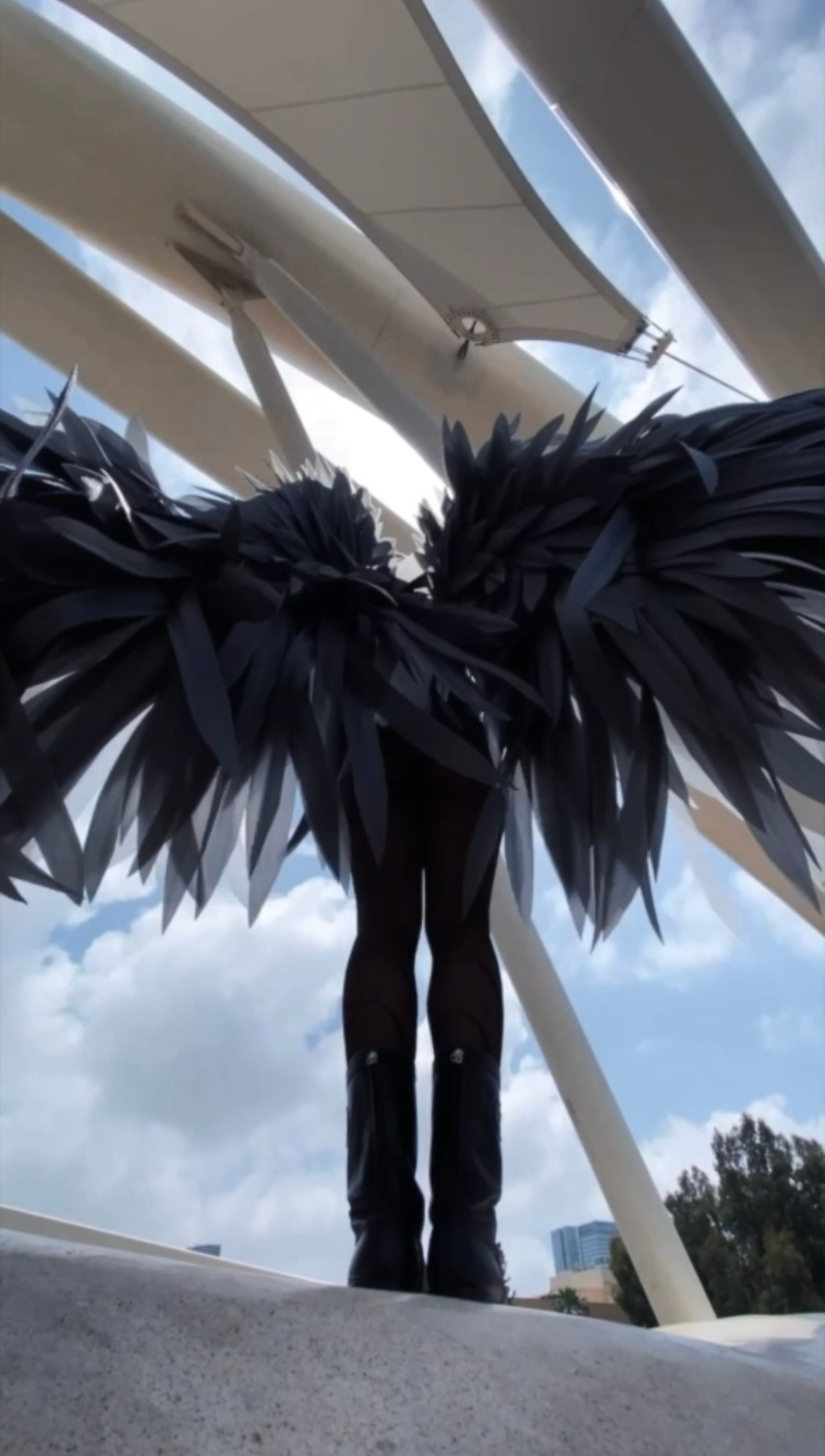 Wings. Ellstudio film production