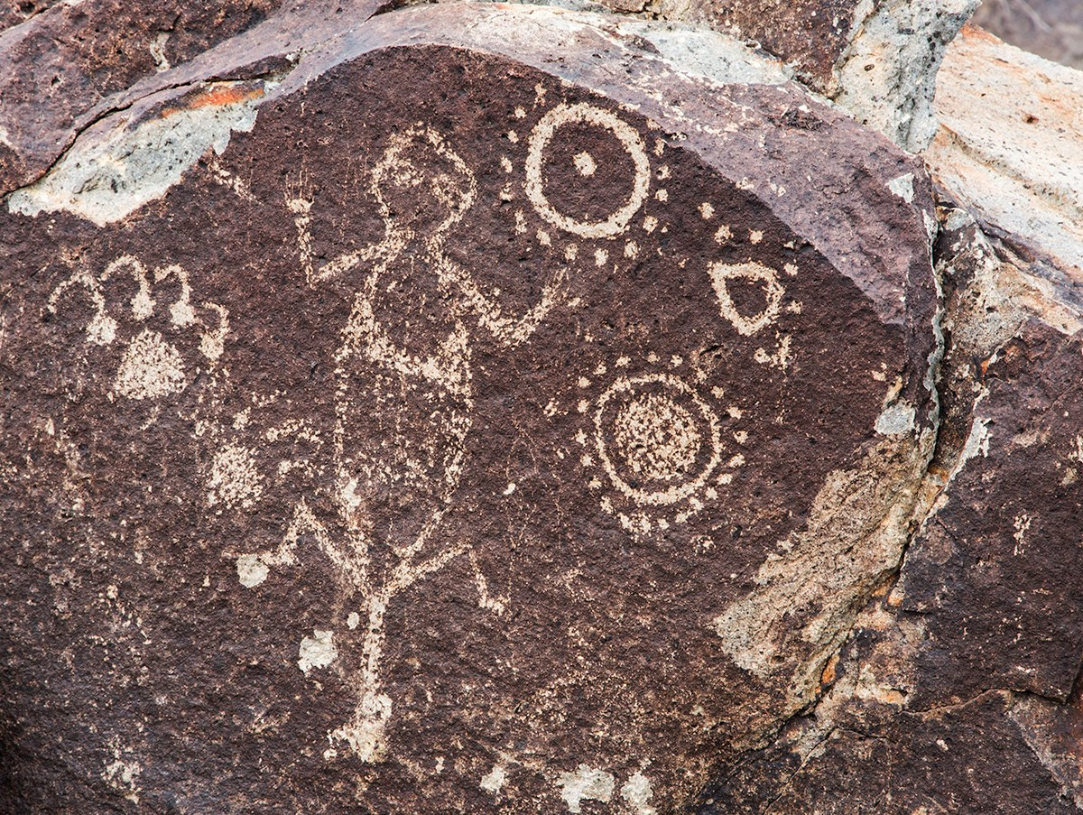 The Best of New Mexico. Pet, Senior, Landscape, portrait studio, photographer in Miami and Sou