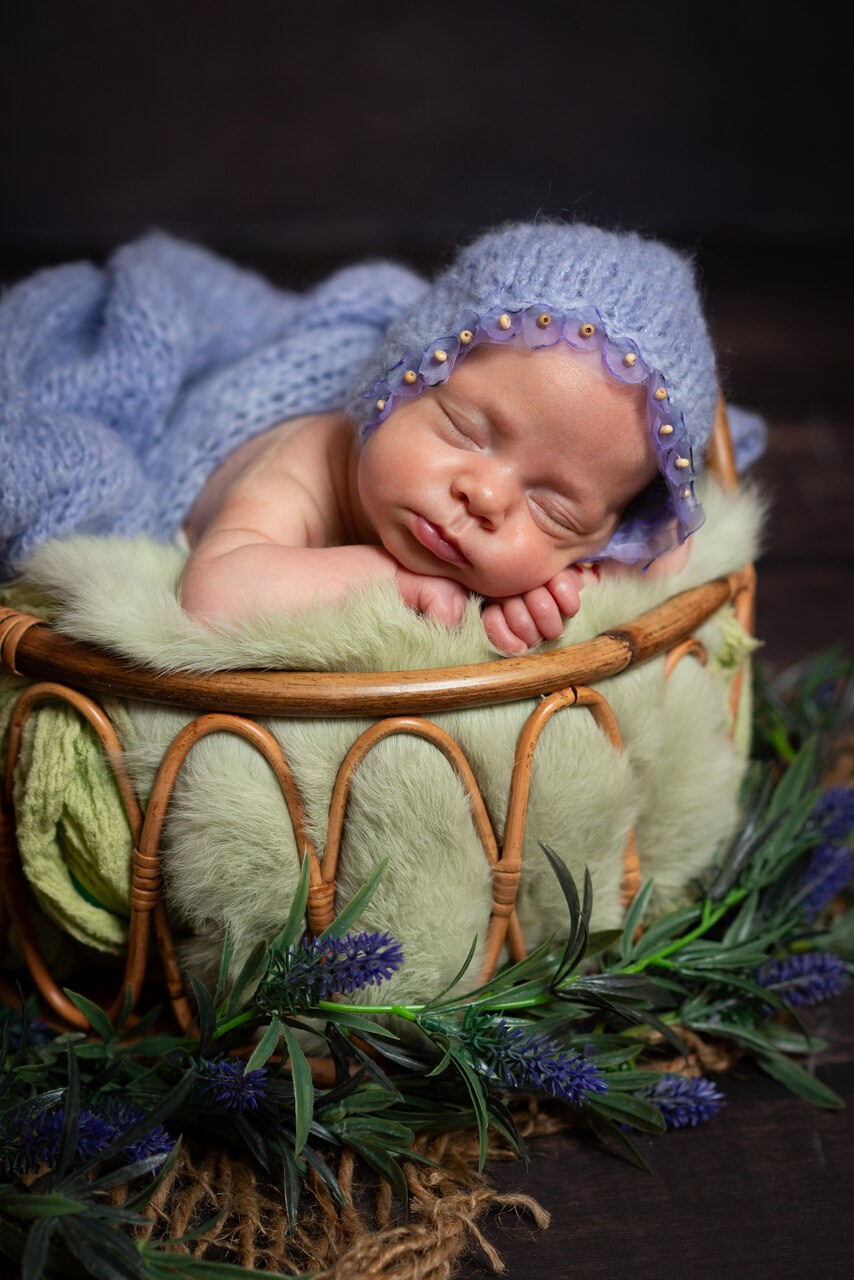 Sedinte foto nou-nascut. Cuibul foto