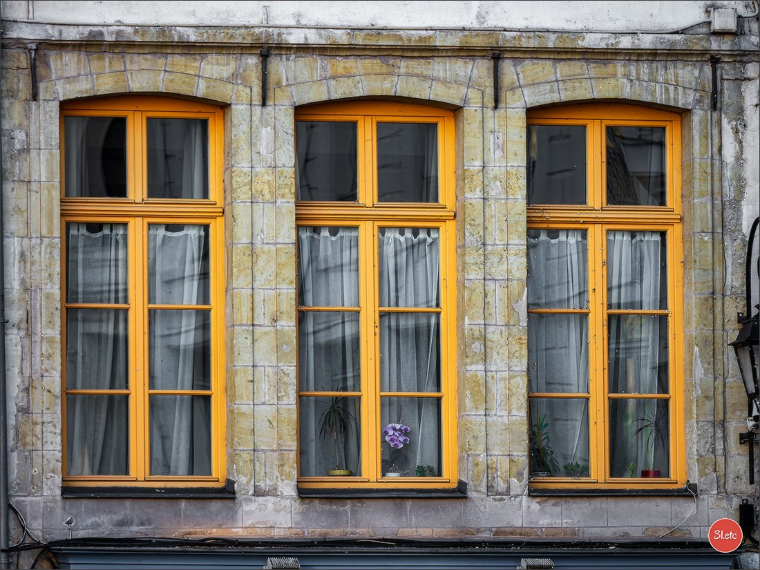Douai. Photographe à Strasbourg | Portraits, Studio, Enfants, Événements