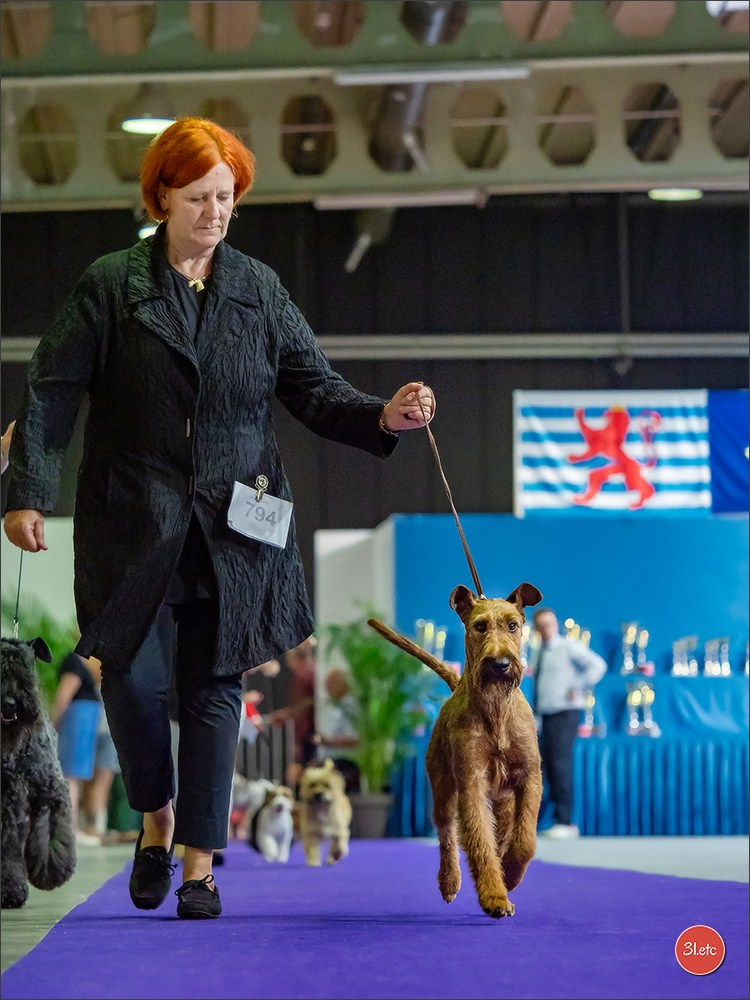 🇱🇺 LUXEMBOURG 🇱🇺 International Dog Show 🇱🇺 31/08 - 01/09/2024. Photographe à Strasbourg | Portraits, Studio, Enfants, Événements