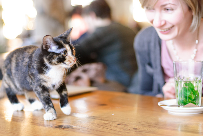 Relationship photography. Victoria Dini. Art photography in London / Folkestone, UK