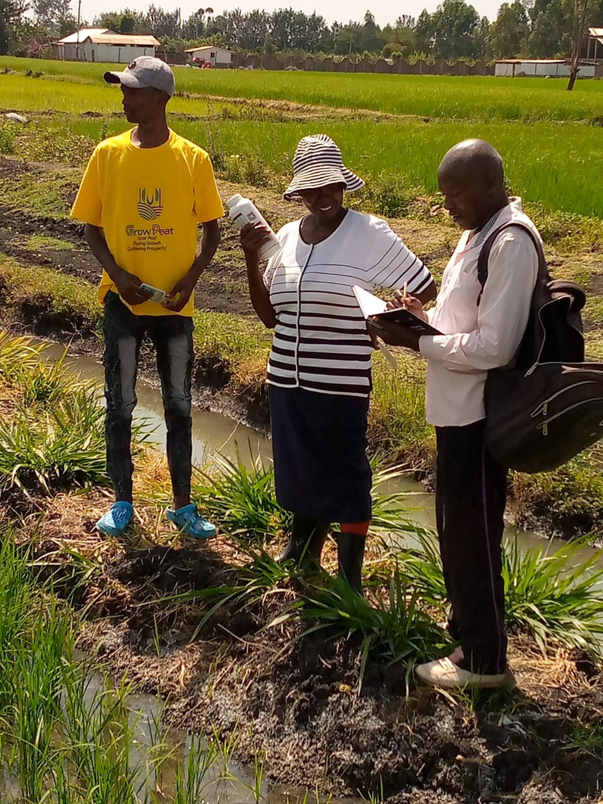Grow Peat Organic Farming Training Crops and Sustainable Agriculture. Boost Plant Growth with Organic Fertilizers: Our Effective Solution