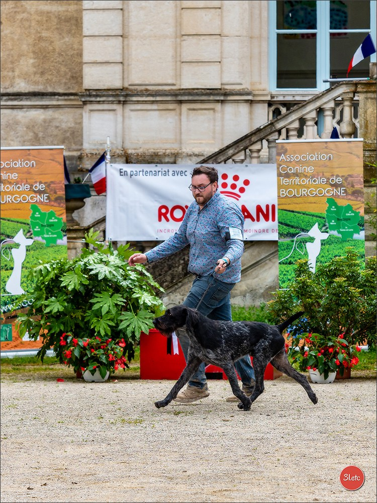 Exposition Canine Nationale  05/05/2024  CHALON-SUR-SAÔNE (Saône-et-Lo. Photographe à Strasbourg | Portraits, Studio, Enfants, Événements