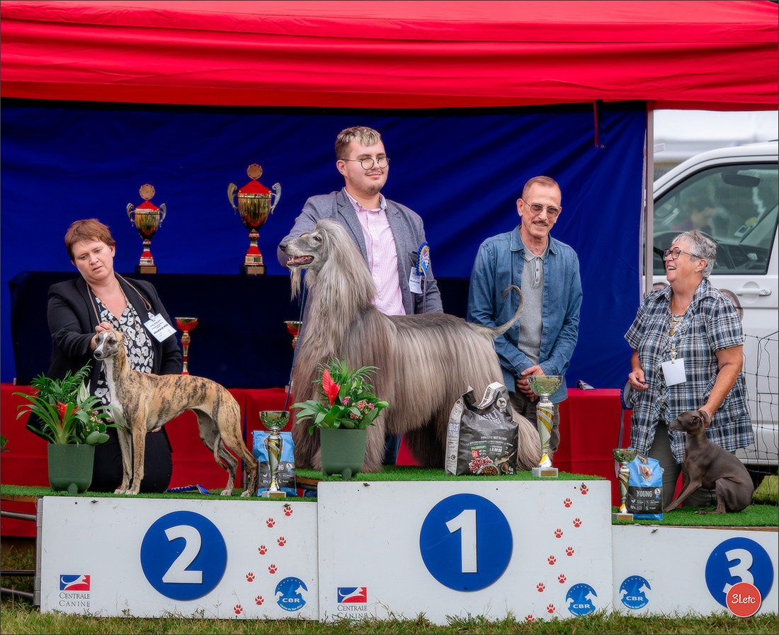 Exposition Canine à STRASBOURG-HOERDT Dimanche 18 août 2024. Photographe à Strasbourg | Portraits, Studio, Enfants, Événements