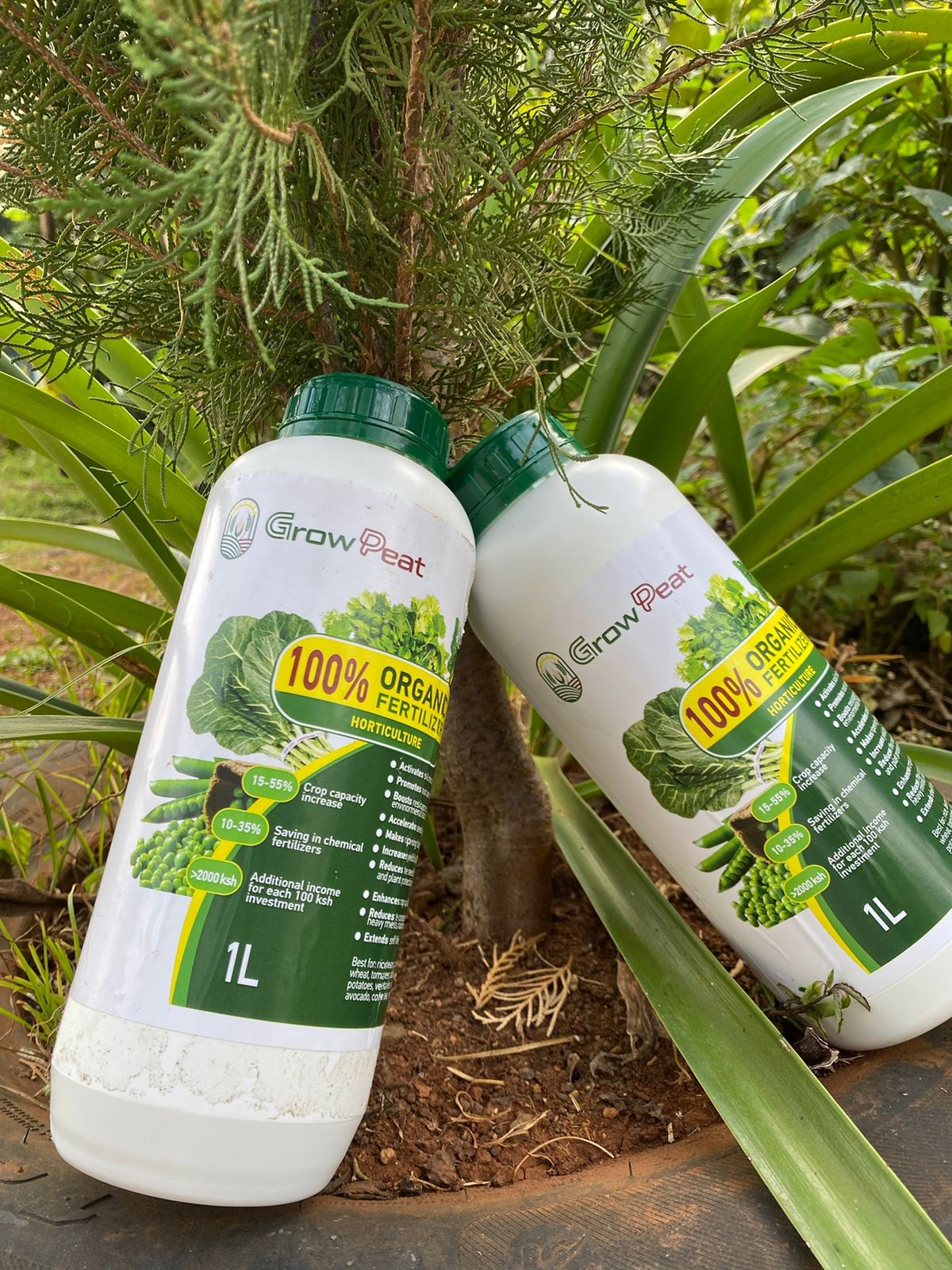 Grow Peat Organic Farming Training Crops and Sustainable Agriculture. Boost Plant Growth with Organic Fertilizers: Our Effective Solution