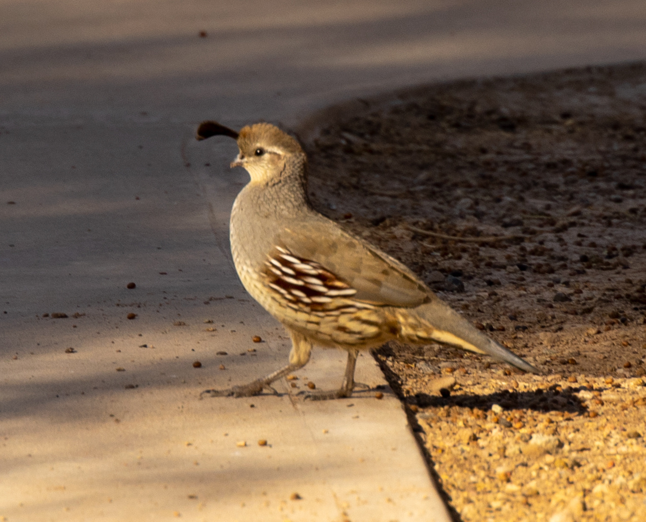 Olga Serebryannaya Travel Photography