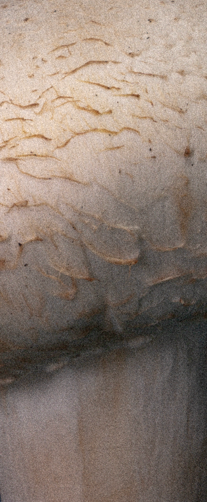 Factory (2023). Ant | photo