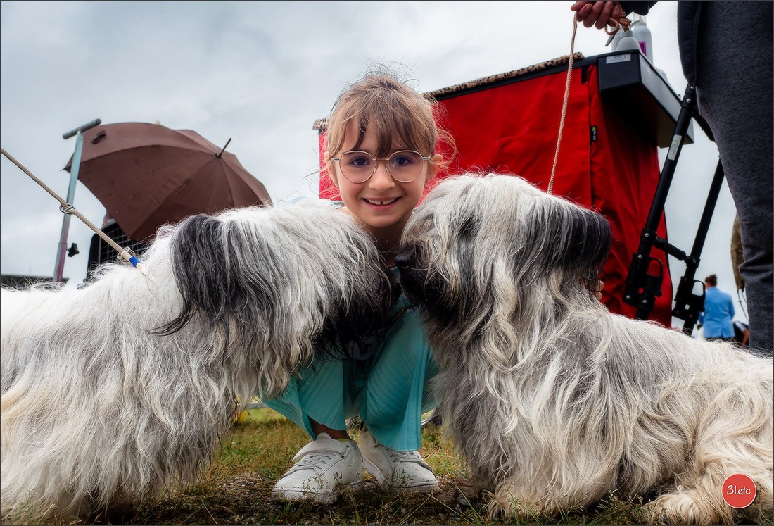 Exposition Canine à STRASBOURG-HOERDT Dimanche 18 août 2024. Photographe à Strasbourg | Portraits, Studio, Enfants, Événements