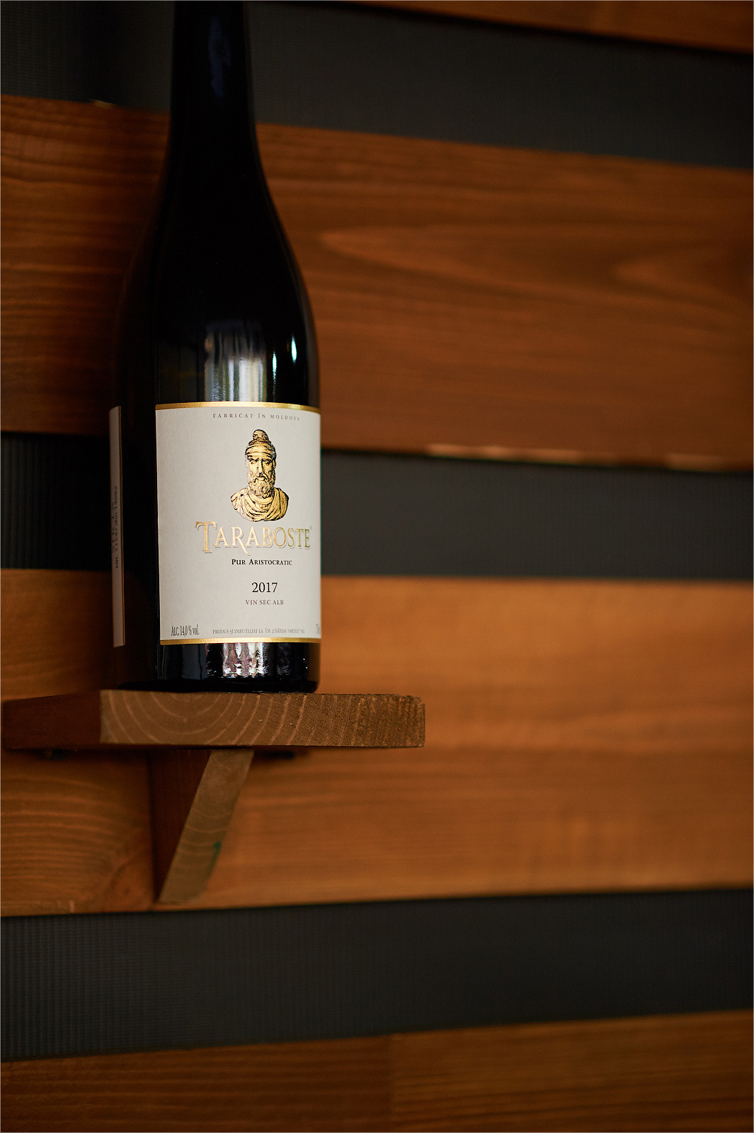 Fotograf Profesionist de Evenimente | Ziua vinului în Chisinau, Moldov