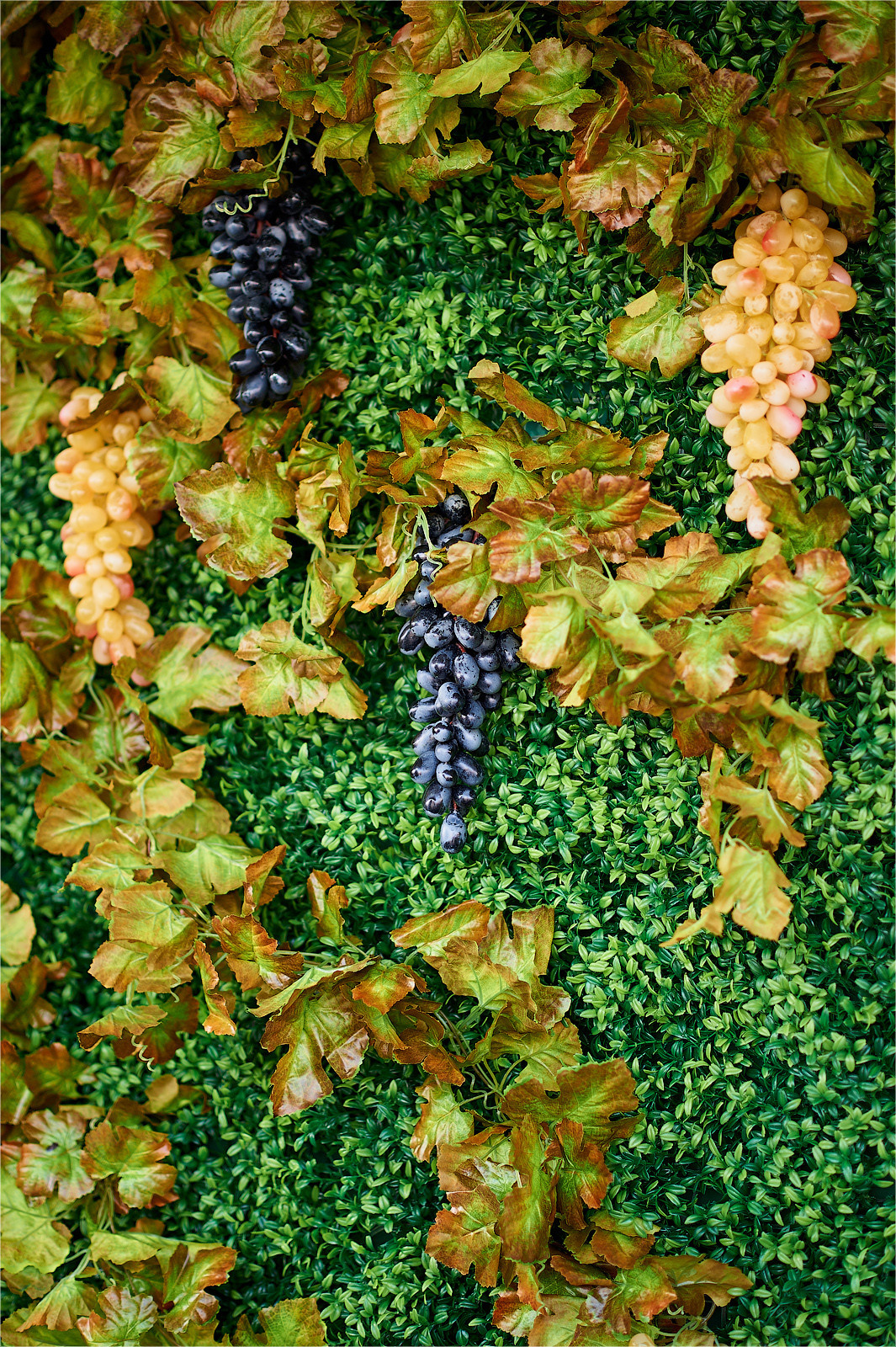 Fotograf Profesionist de Evenimente | Ziua vinului în Chisinau, Moldov