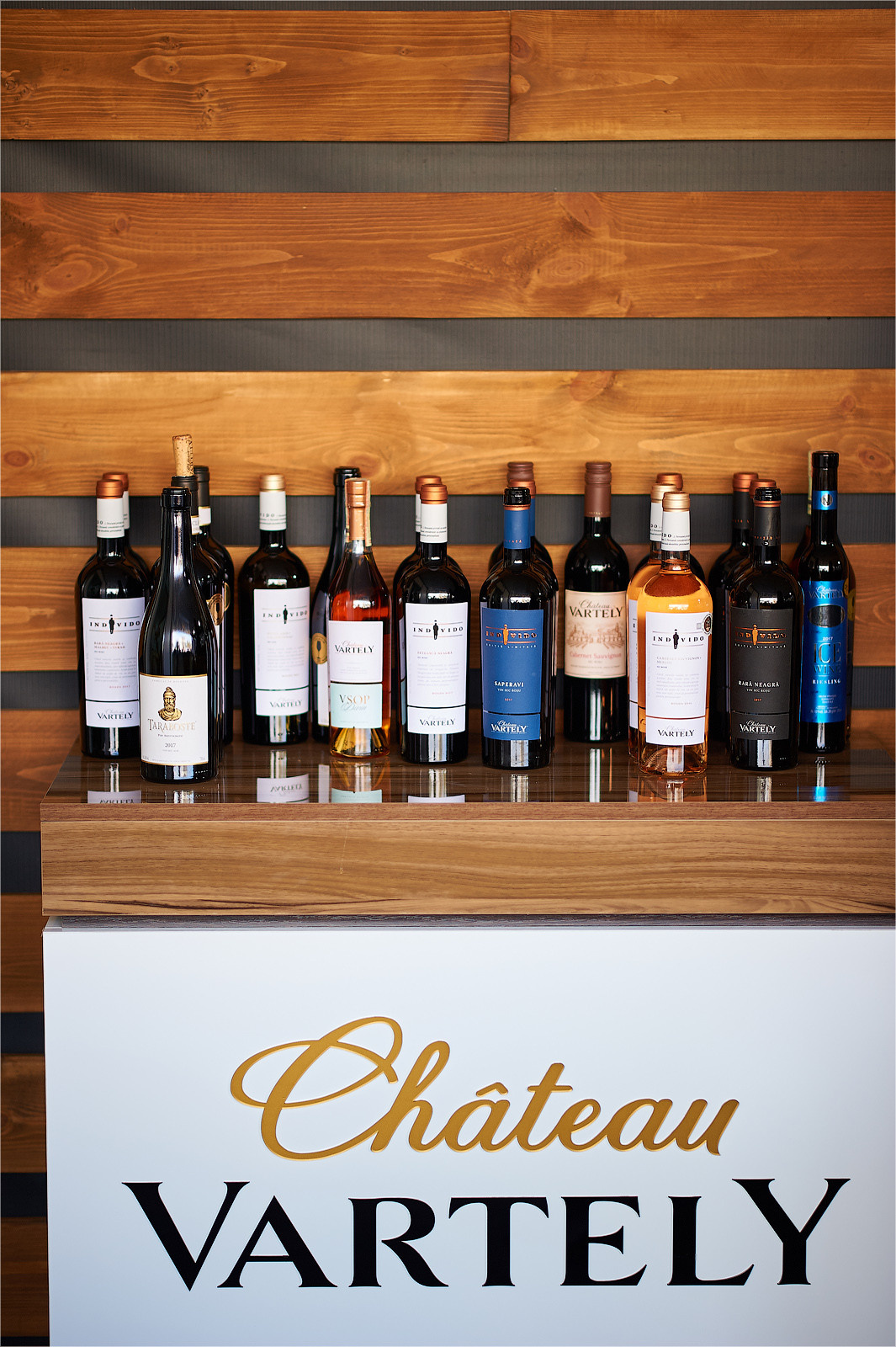 Fotograf Profesionist de Evenimente | Ziua vinului în Chisinau, Moldov