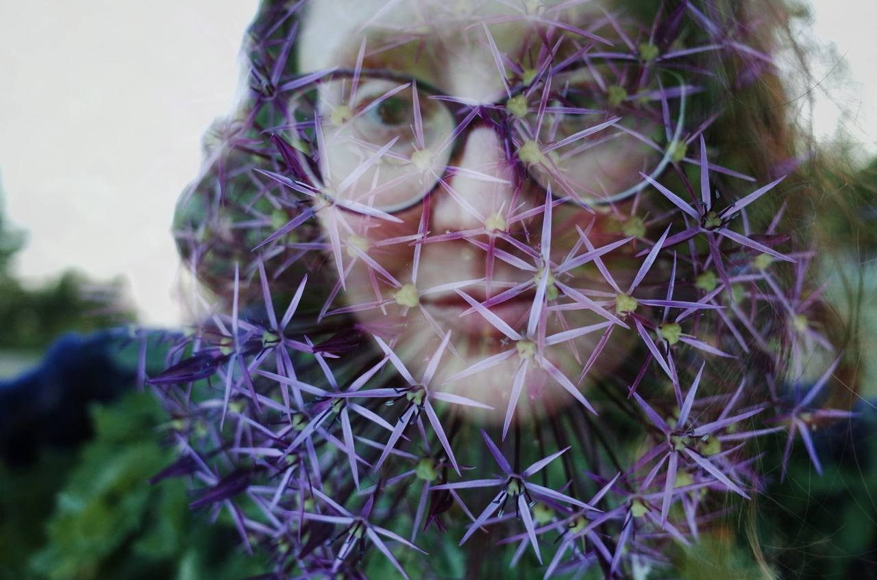 AutoHerbarium. Victoria Dini. Art photography in London / Folkestone, UK