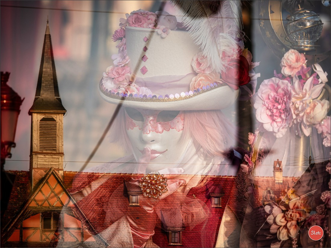 Concerts . Carnavals . Festivals. Photographe à Strasbourg | Portraits, Studio, Enfants, Événements