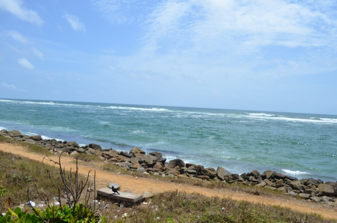 Шри-Ланка — Мальдивы. Mannequins, design, decoration, handmade, photographe…