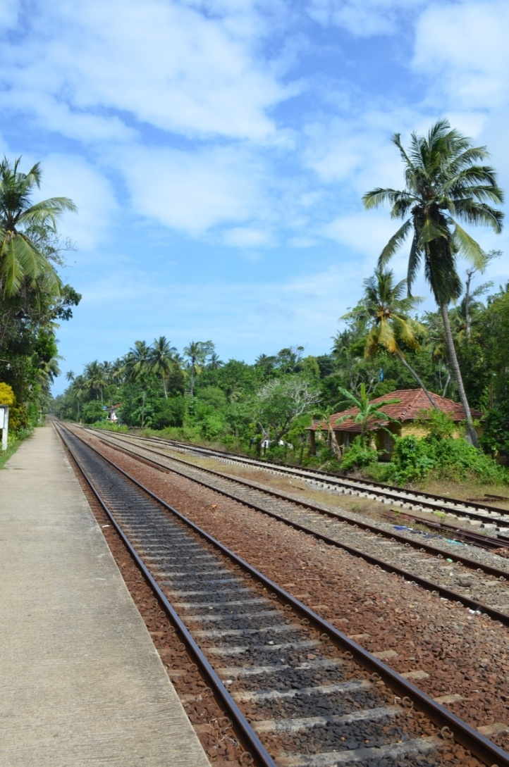Шри-Ланка — Мальдивы. Mannequins, design, decoration, handmade, photographe…