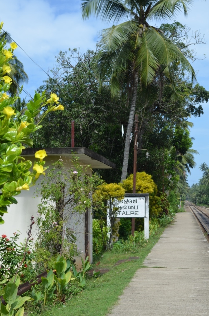 Шри-Ланка — Мальдивы. Mannequins, design, decoration, handmade, photographe…