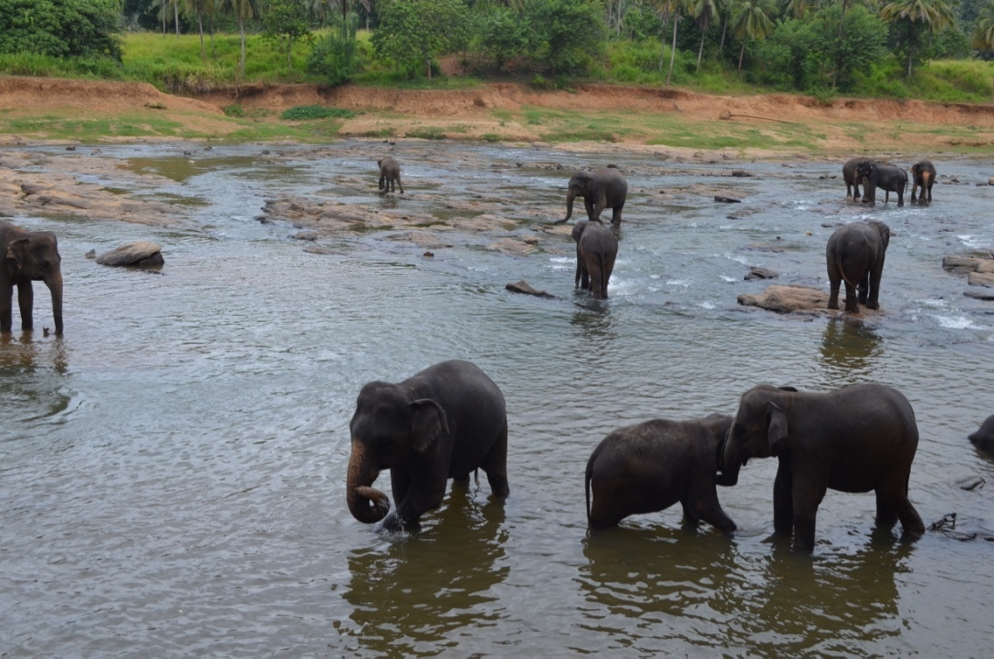 Шри-Ланка — Мальдивы. Mannequins, design, decoration, handmade, photographe…