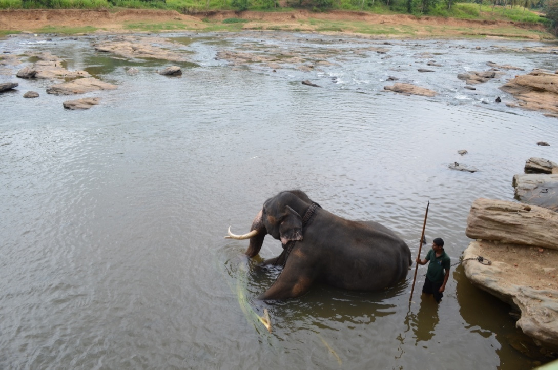 Шри-Ланка — Мальдивы. Mannequins, design, decoration, handmade, photographe…