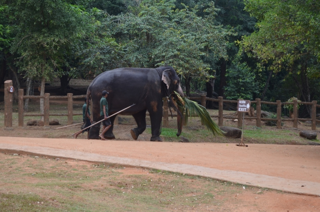 Шри-Ланка — Мальдивы. Mannequins, design, decoration, handmade, photographe…