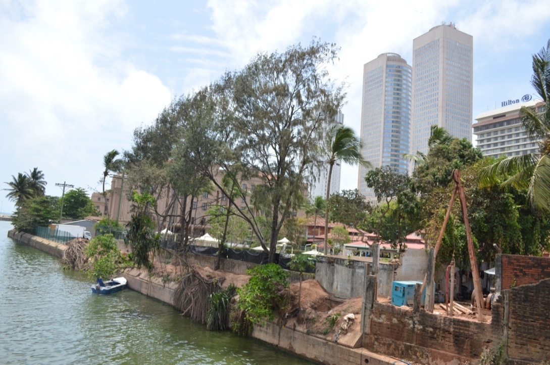 Шри-Ланка — Мальдивы. Mannequins, design, decoration, handmade, photographe…