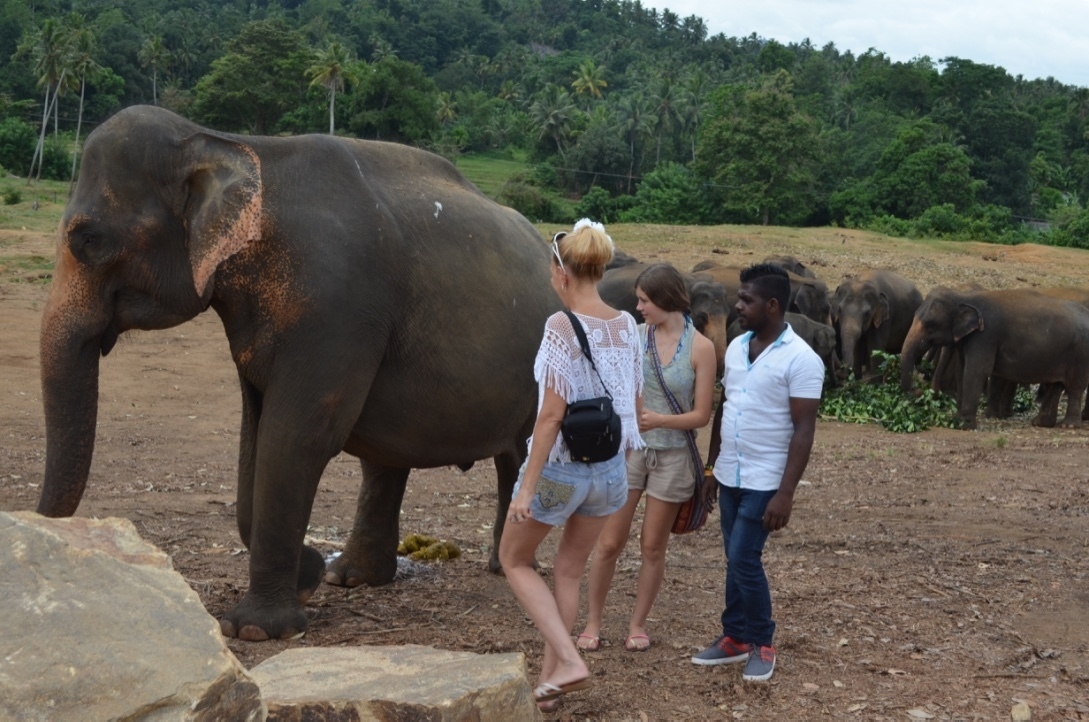 Шри-Ланка — Мальдивы. Mannequins, design, decoration, handmade, photographe…